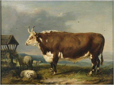 James Ward Hereford Bull with Sheep by a Haystack